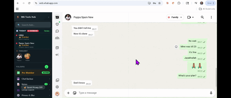 WATools Hub privacy blur toggle demo