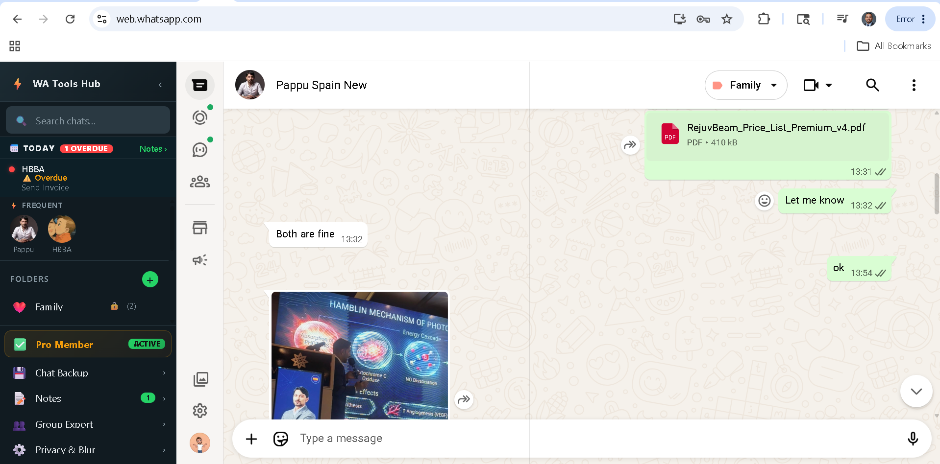 WhatsApp Web without privacy blur — contacts visible