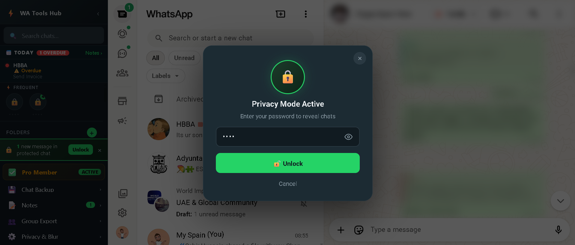 WATools Hub Privacy Mode Active screen with password unlock prompt